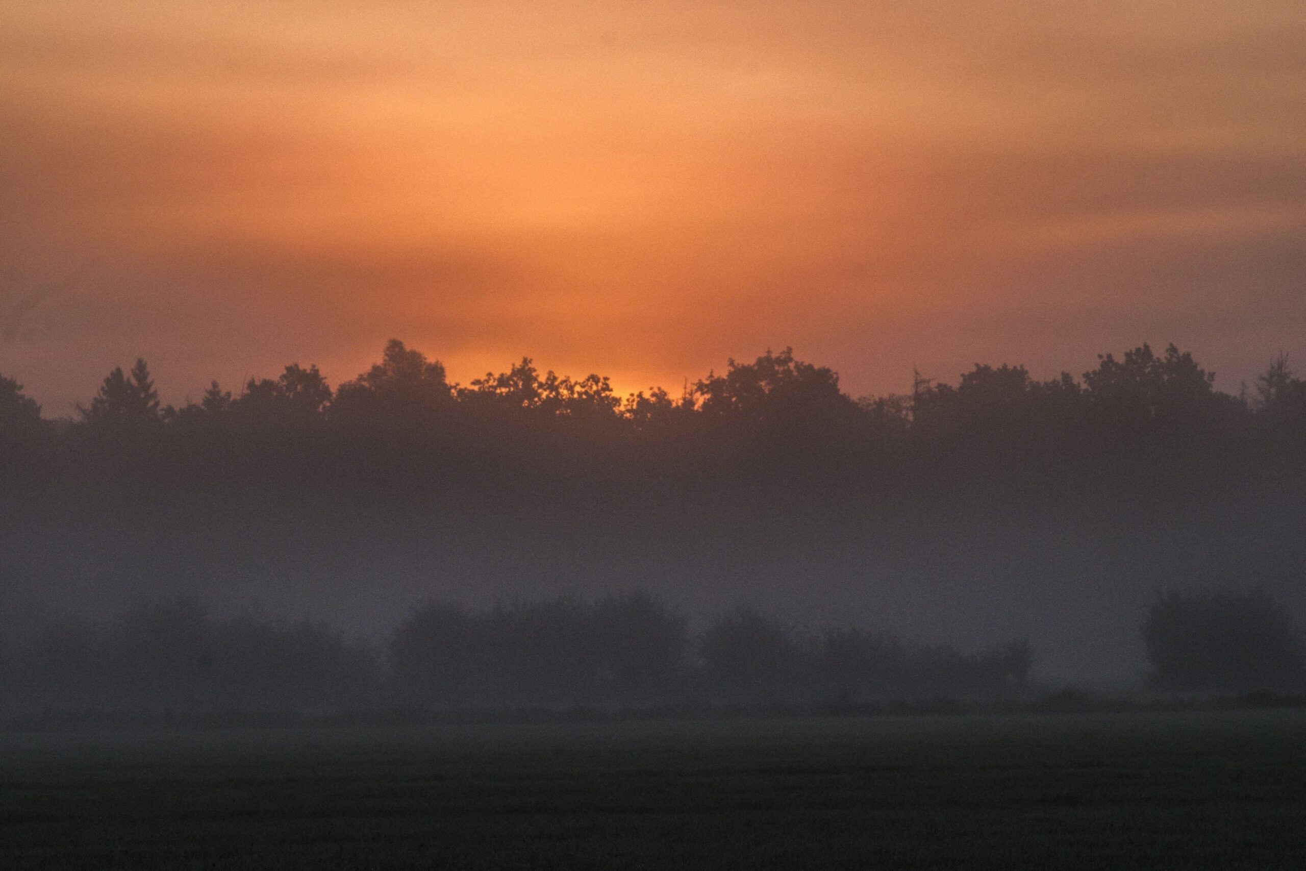 Une journée brumeuse et nuageuse prévue en Nouvelle-Aquitaine : une météo capricieuse qui perturbe les habitants